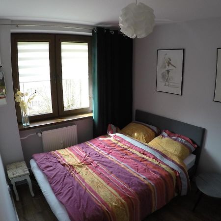 Apartament Bieszczady Ustrzyki Dolne Exterior photo